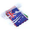 Custom International String Flag Set 14*21cm String Flags